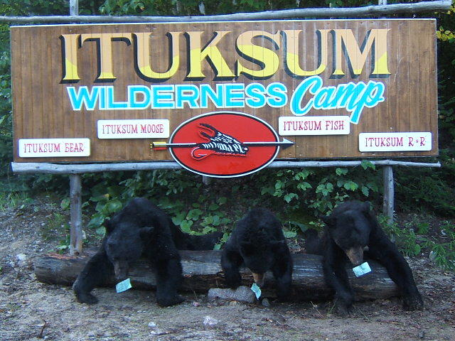 bearituksum.jpg