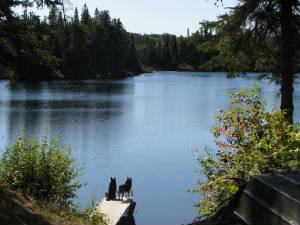 tmp0004f.jpg